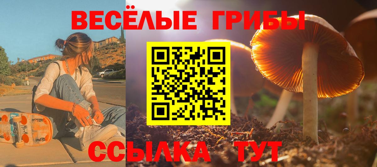 Ликино-Дулёво  Галлюциногенные грибы Psilocybine cubensis  Вход с VPN 